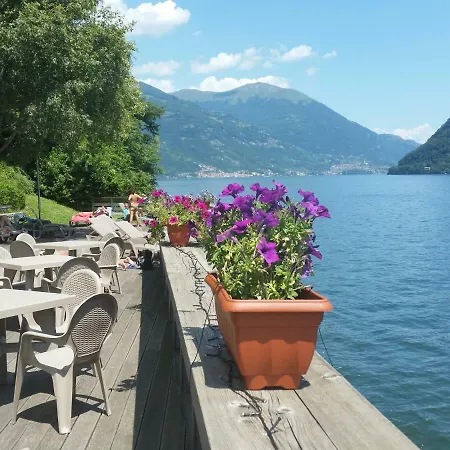 The Green Terrace *
